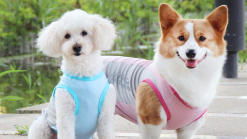 Pet Dog Summer Cooling Vest - Image 2