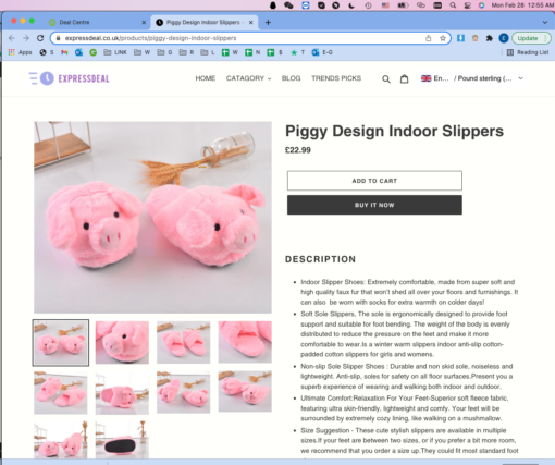 Piggy Design Indoor Slippers - Image 9