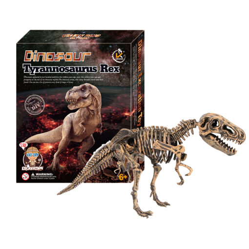 Archaeology Dinosaur Fossil Digging Set - Image 10