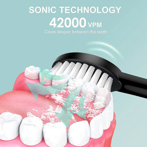 Rechargeable Sonic Electric Toothbrush - Image 4