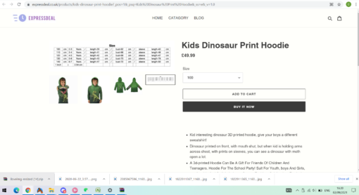 Kids Dinosaur Print Hoodie - Image 2