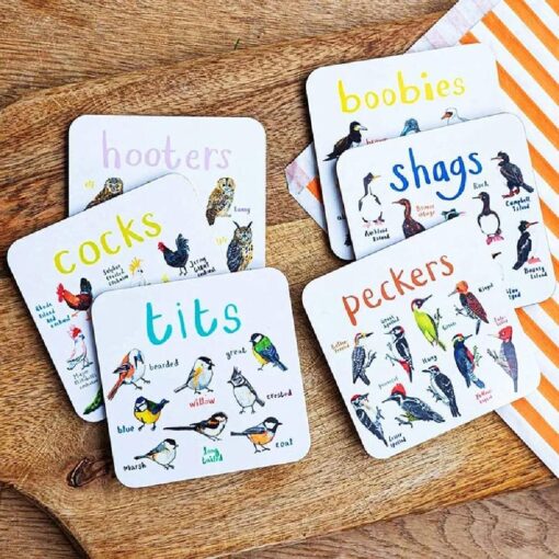 Set of 6 Bird Pun Coaster - Image 2