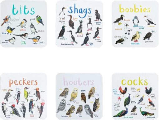 Set of 6 Bird Pun Coaster - Image 5