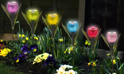 Tulip-Shaped Garden Solar Lights