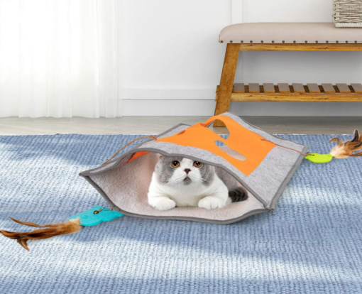 Cat Play Mat