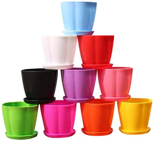 10 pcs plant pot