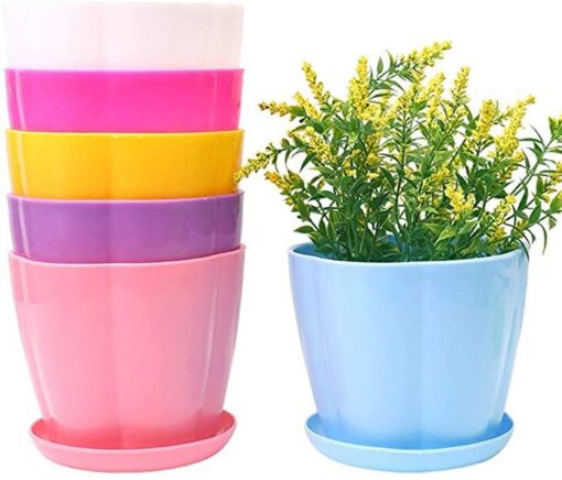 10 pcs plant pot - Image 3