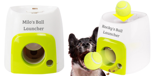 Personalized Automatic Pet Ball Launcher