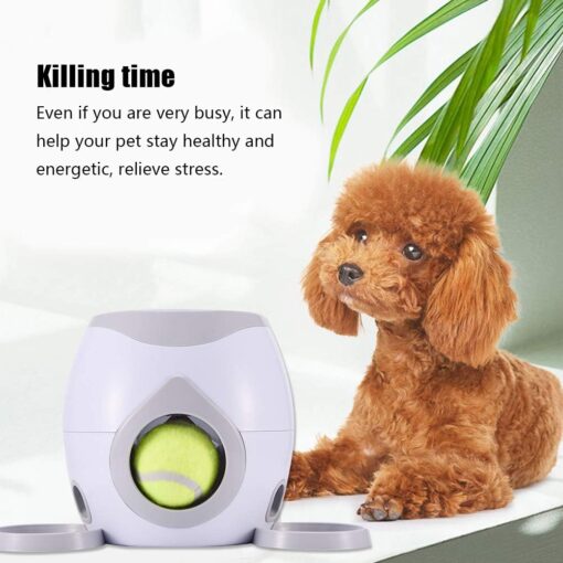 Interactive Pet Training Toy - Image 2