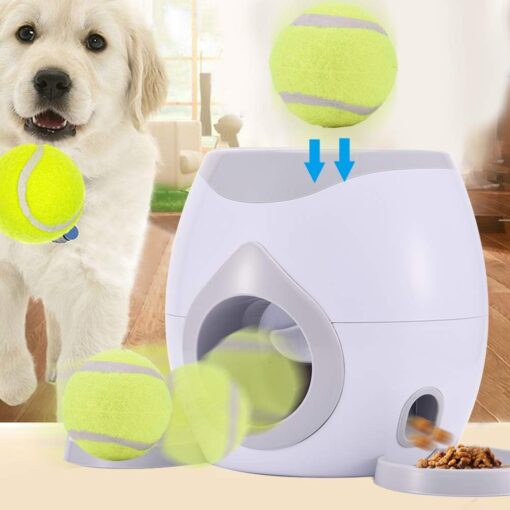 Interactive Pet Training Toy - Image 20