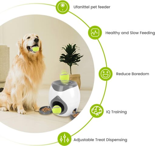 Interactive Pet Training Toy - Image 5