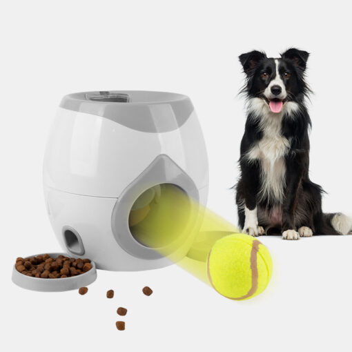 Interactive Pet Training Toy