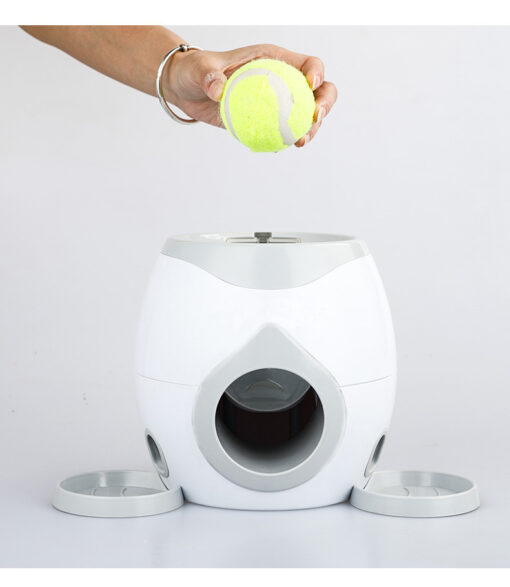 Interactive Pet Training Toy - Image 13