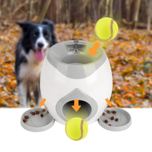 Interactive Pet Training Toy - Image 7