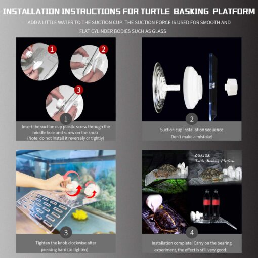 Turtle Basking Platform - Image 9