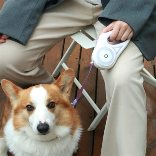 Retractable LED Dog Leash - Image 6