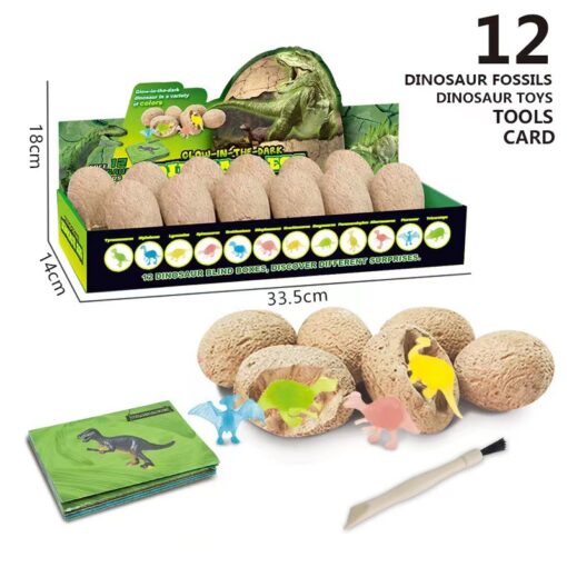 12 pcs Dinosaur Egg Fossil Digging Set - Image 4