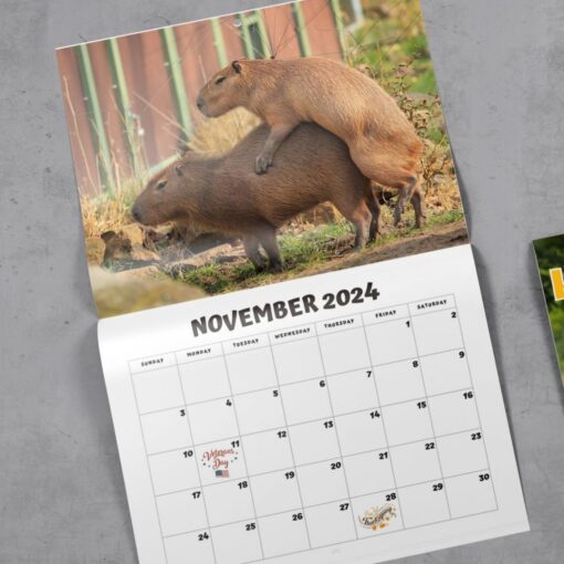 2024 Humping Calendar - Image 3