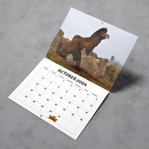 2024 Humping Calendar - Image 4