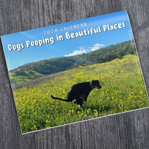 Dogs Pooping In Beautiful Places 2024 Calendar - Image 2