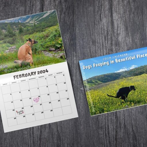 Dogs Pooping In Beautiful Places 2024 Calendar - Image 3