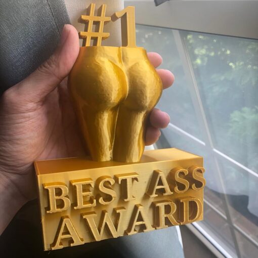 Best Ass Award, Best Boobs Award Resin Statue Funny Prank Adult Trophy Desktop Decor - Image 4