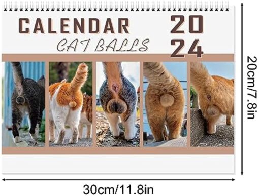 Cat Balls Calendar 2024 - Image 4