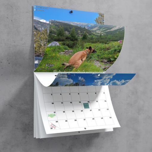 Dogs Pooping In Beautiful Places 2024 Calendar - Image 5