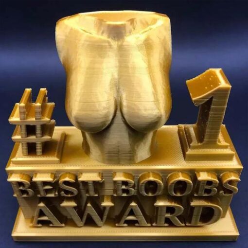 Best Ass Award, Best Boobs Award Resin Statue Funny Prank Adult Trophy Desktop Decor - Image 5