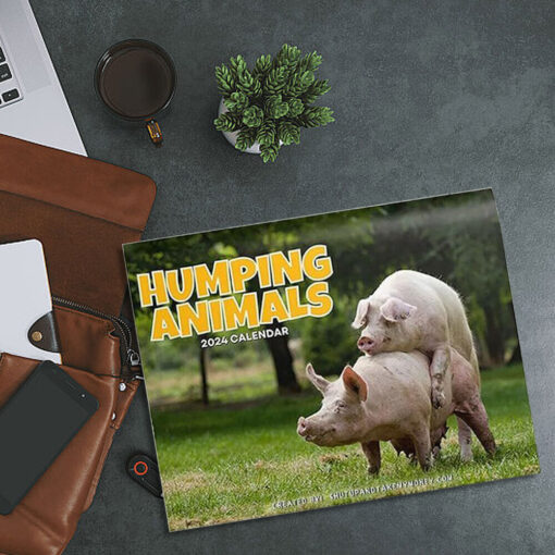 2024 Humping Calendar - Image 2