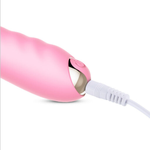 USB 10 Speed Licking Vibrator - Image 6