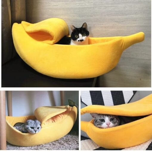 Banana Pet Boat - Image 14