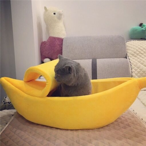 Banana Pet Boat - Image 15