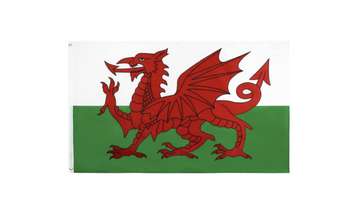 World Cup Wales Flag Decorations - United Kingdom