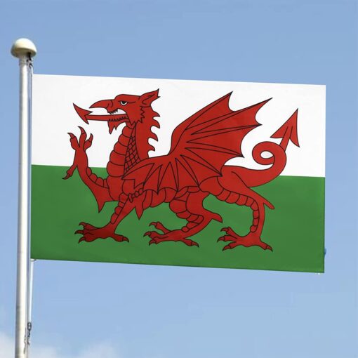 World Cup Wales Flag Decorations - United Kingdom - Image 6