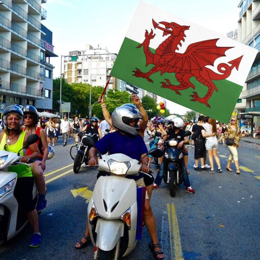 World Cup Wales Flag Decorations - United Kingdom - Image 7