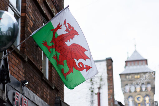 World Cup Wales Flag Decorations - United Kingdom - Image 9