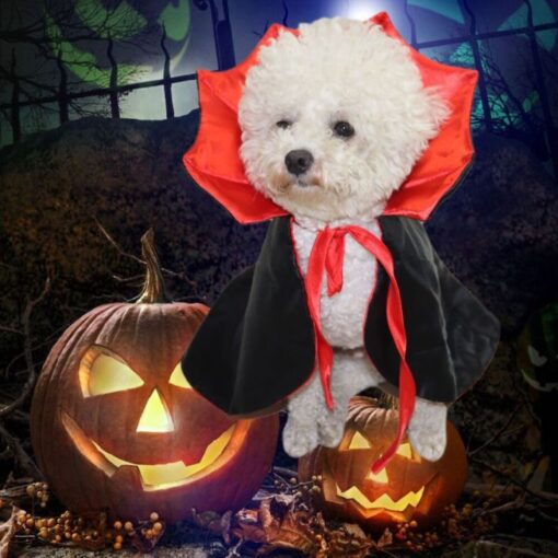 Halloween Costume for Pets - AC1275 - Image 6