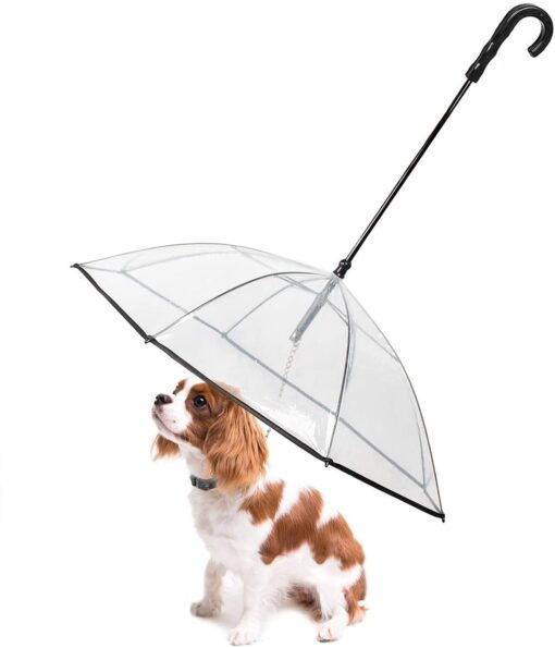 Pet Umbrella