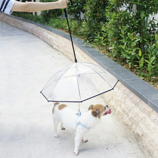 Pet Umbrella - Image 6