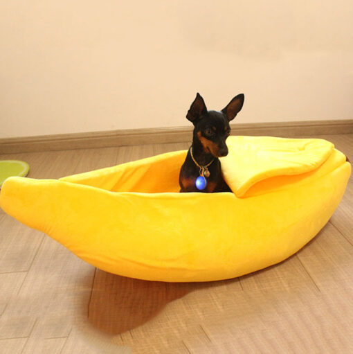 Banana Pet Boat - Image 11