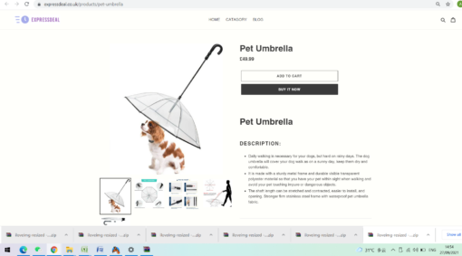 Pet Umbrella - Image 8