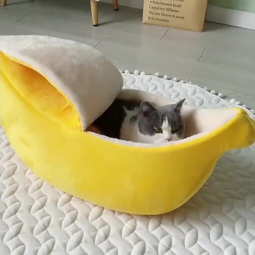 Banana Pet Boat - Image 16