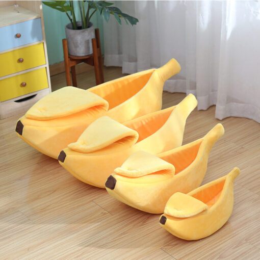 Banana Pet Boat - Image 17