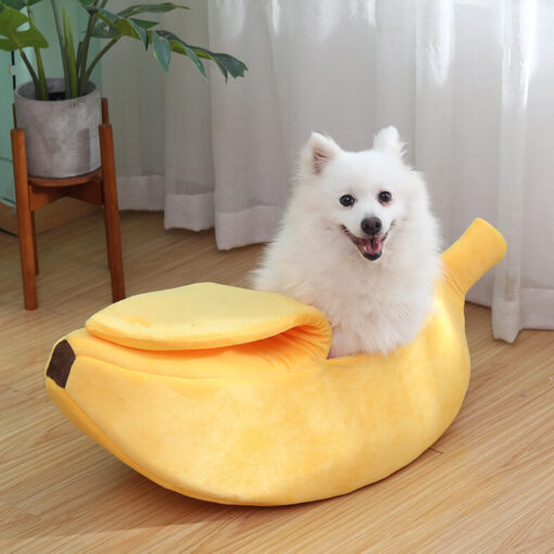 Banana Pet Boat - Image 18